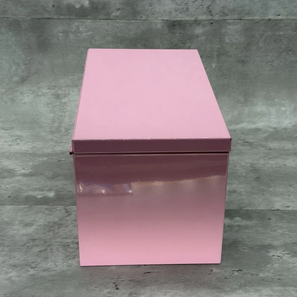 Kobalt Pink Metal Tool Box 2 Drawers With Handle Glossy Finish